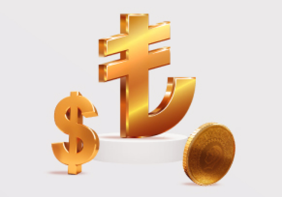 Бронза евро. Dollar TL Converter.